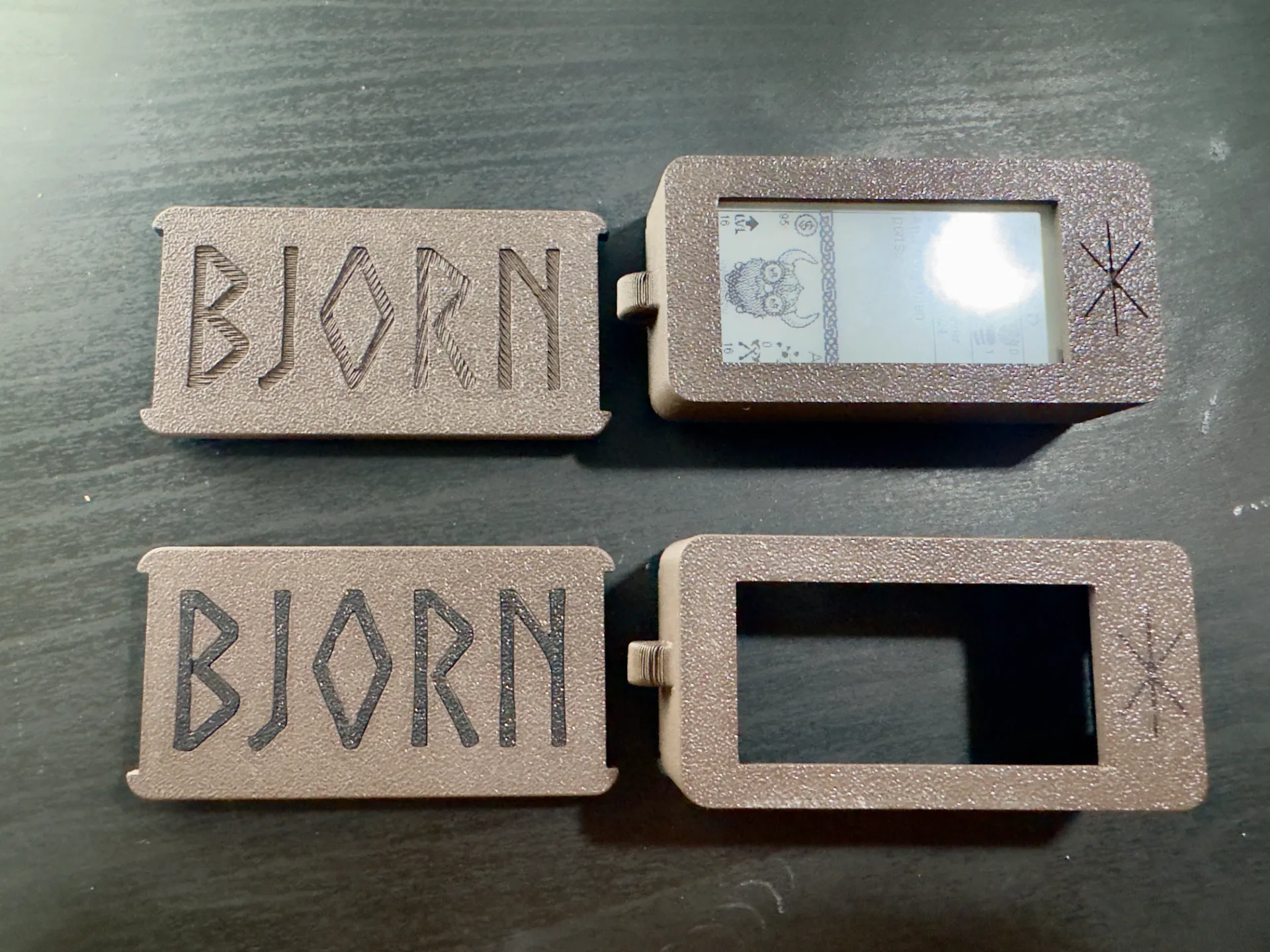 Bjorn Cyber Viking Case - Back View Variants